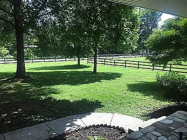 view from family room picture window