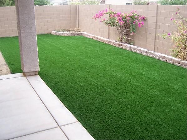 Back Yard (Artificial Turf)