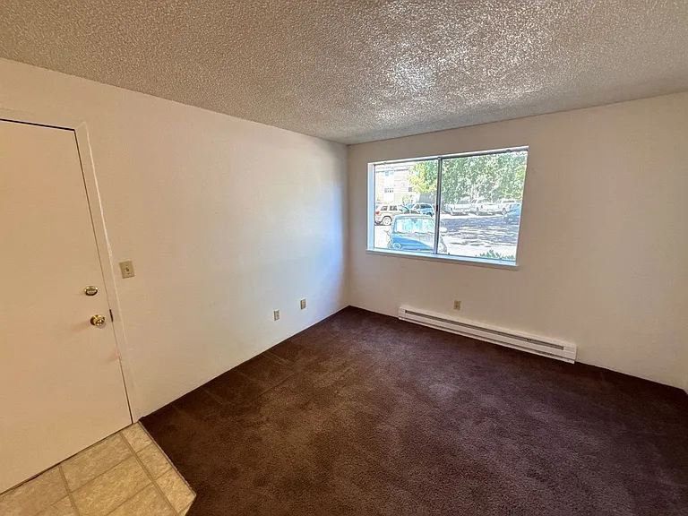Ashwood Apartments — Photo 5