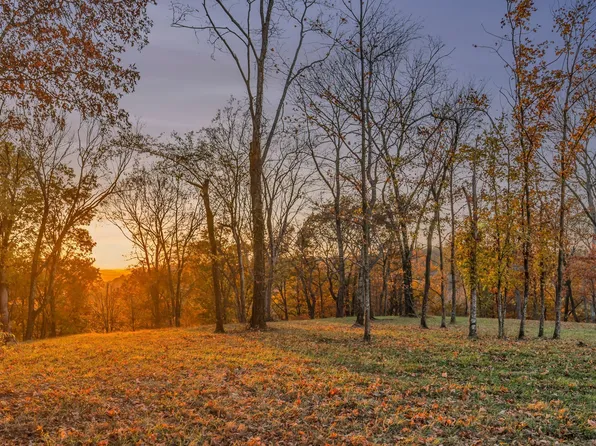 0 Burke Hollow Rd Tract 1, Nolensville, TN 37135