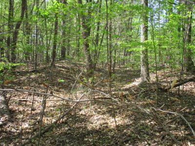 596 Laurel Dr, Westminster, SC, 29693