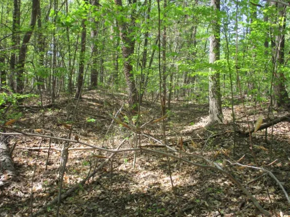 596 Laurel Dr, Westminster, SC 29693