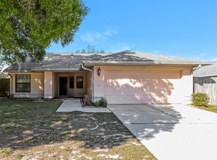 11504 Smokethorn Dr, Riverview, FL 33579