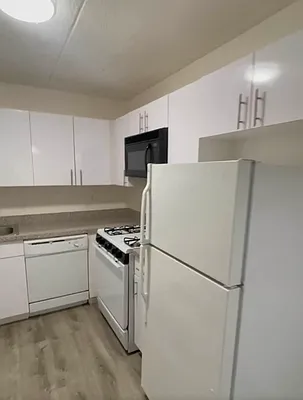 Rented by Contact Realty | media 5