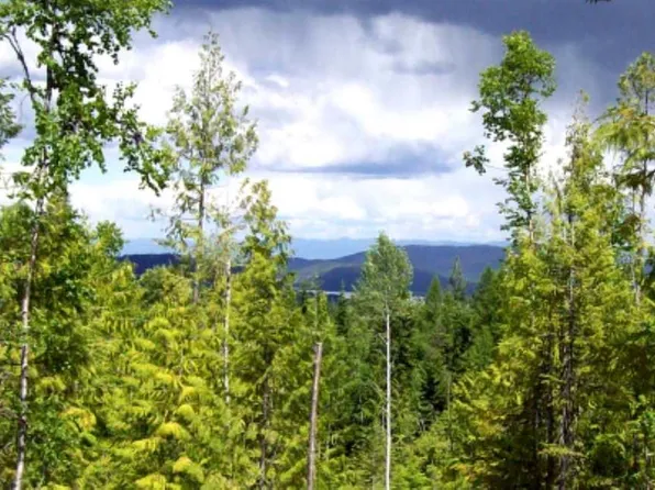 2244 Whittum Rd, Priest River, ID 83856