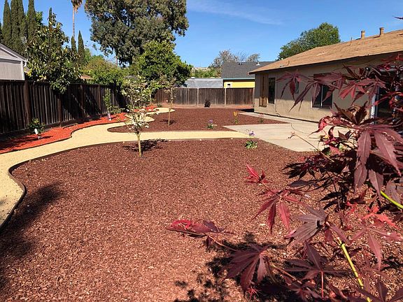 HUGE Back Yard with Three Fruit Trees (Peach, Plum, and Lemon)