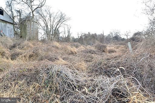 4th image of Elbow Ln