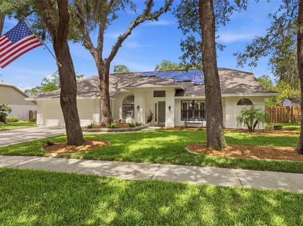 1521 Waterwood Dr, Lutz, FL 33559