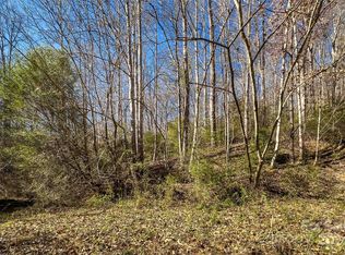 83-137 Shanty Town Rd, Old Fort, NC 28762