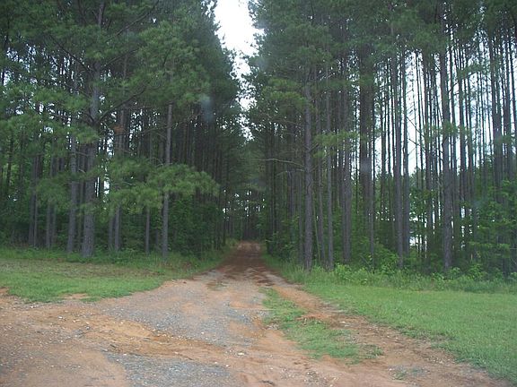 StreetView