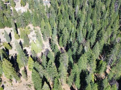 1-M-11 Sisson Dr, McCloud, CA, 96057