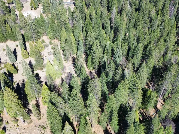 1-M-11 Sisson Dr, McCloud, CA 96057