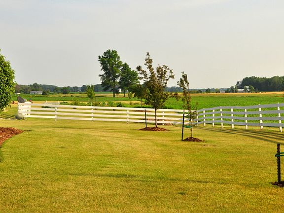 3 acres/some fruit trees