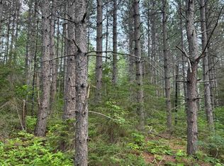 Xx High Ridge Dr, Silver Bay, MN 55614