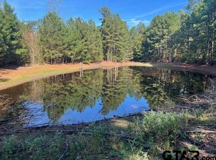 0 S Fm 14, Hawkins, TX 75765