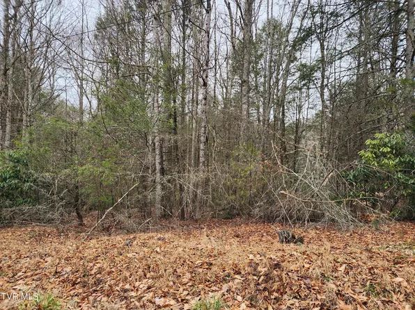 400 Racoon Ravine Ln Lot 9B, Mountain City, TN 37683