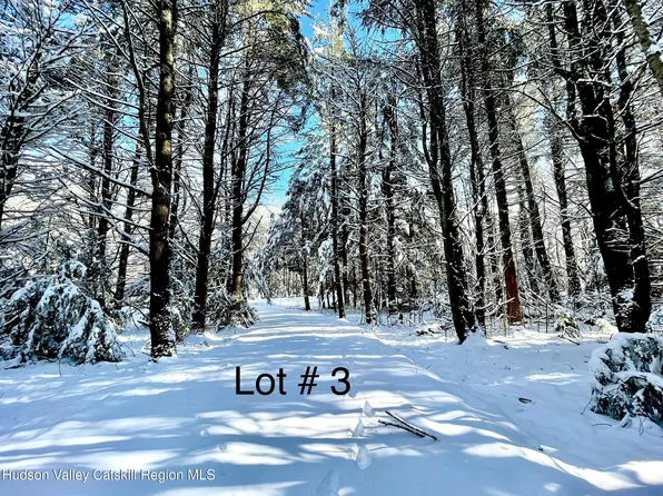 511 Campbell Road, Ashland, NY 12407