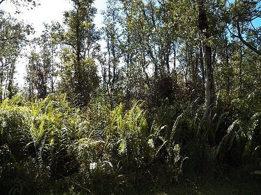 1st image of 16-383 Melekule St Lot 11