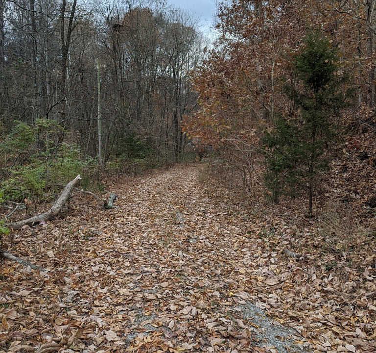 1st image of 1429 Dobbins Pike