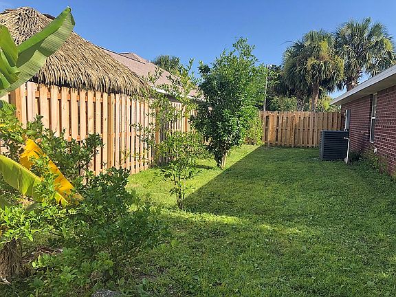 Citrus Trees ?? 