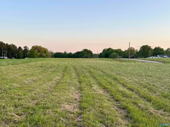 6 State Highway 99, Anderson, AL 35610