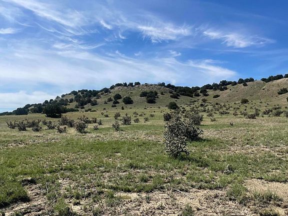 3rd image of Bear Springs Trl