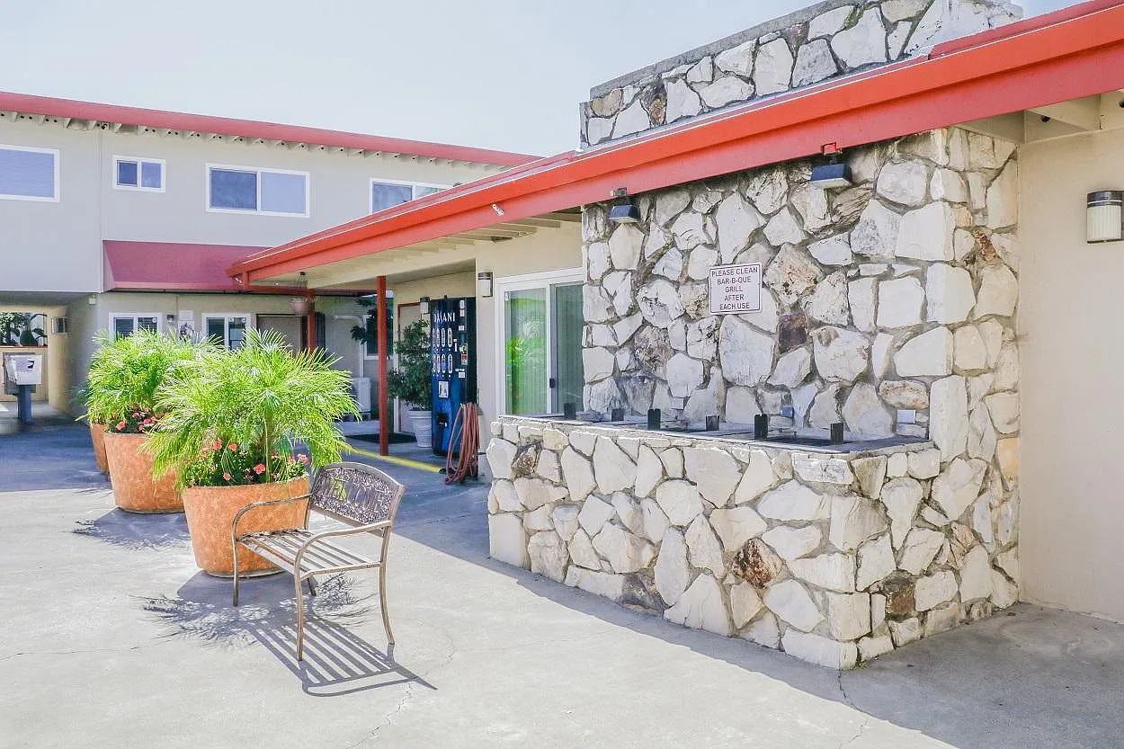 The Palms Apartments — Photo 2