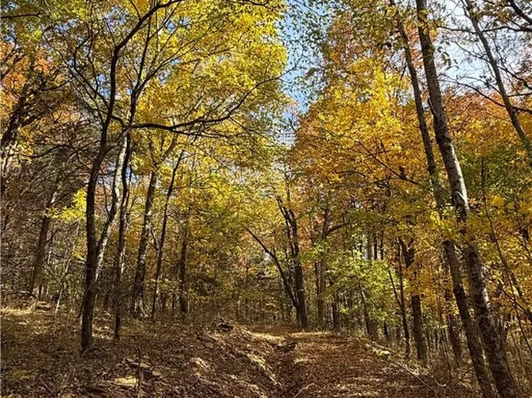 14710 Summer Shade Rd, West Fork, AR 72774