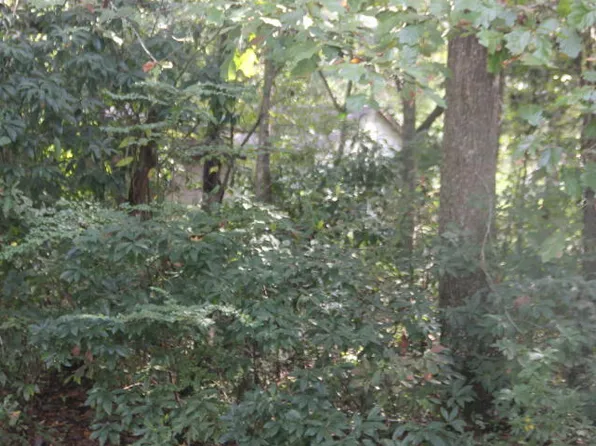 0 Flint St, Charleston, SC 29412