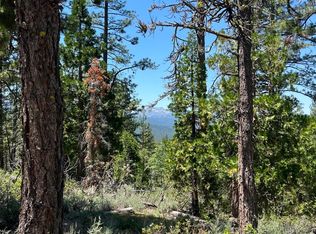 1220 Racoon Rd, Clio, CA 96106