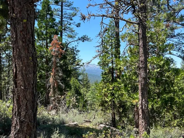 1220 Racoon Rd, Clio, CA 96106