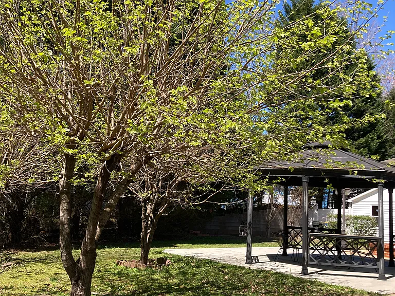 Backyard Gazebo