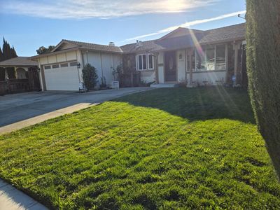 2595 Gumdrop Dr, San Jose, CA, 95148