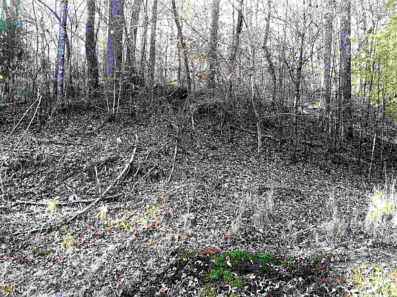 4th image of 0 Fern Dr #3674