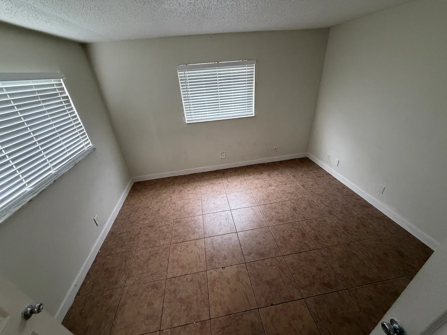 Atlantic Palms LLC — Photo 2