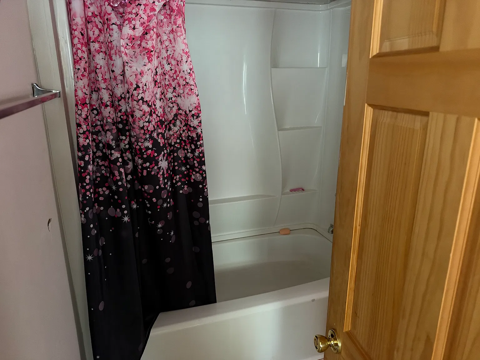 2 bed, $1,250 — Photo 4