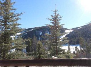 22714 State Highway 6 #5953, Dillon, CO 80435