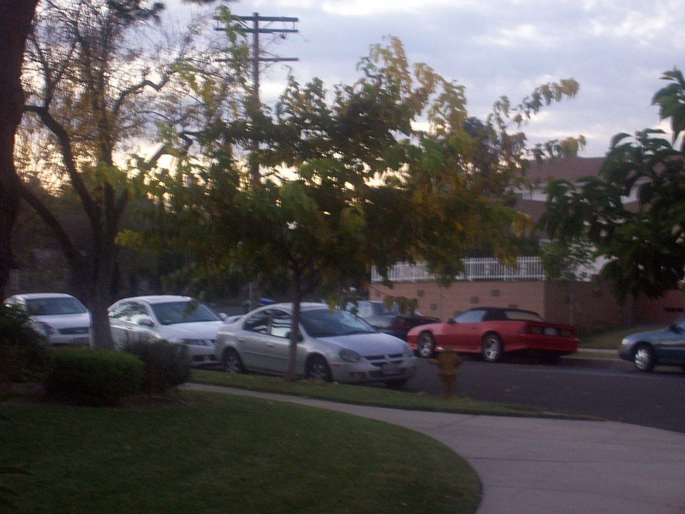 View on the corner (there are 2 cul de sacs)