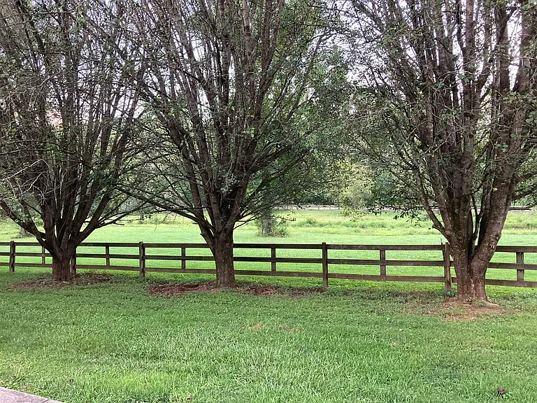 Dogwood Hills Rd — Photo 13