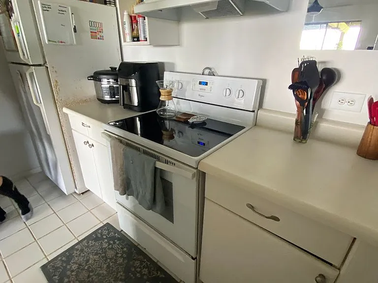 1002 Koohoo Pl #A — Photo 3