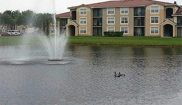 1 bed, 1.0 bath, 787 sqft, $1,800 — Photo 2