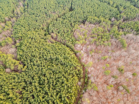 3rd image of 029003.00 Smith Mountain Rd