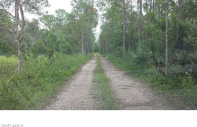 2nd image of 10851 Painted Bunting Ave