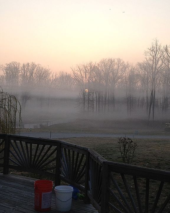 2nd image of 2593 Bradley Ct