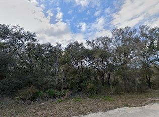34348 Broken Stone St, Webster, FL 33597