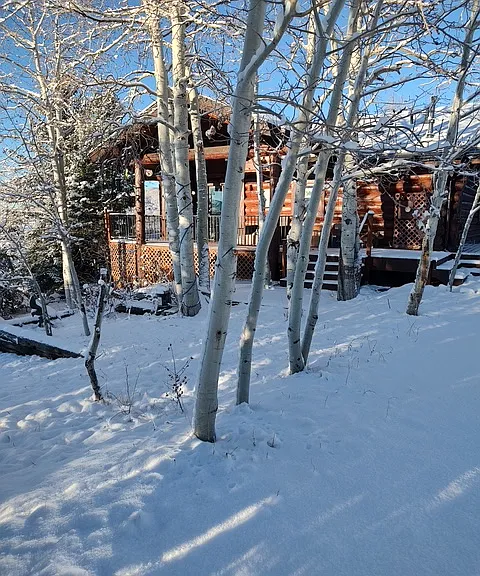 29590 Elk View Dr — Photo 27