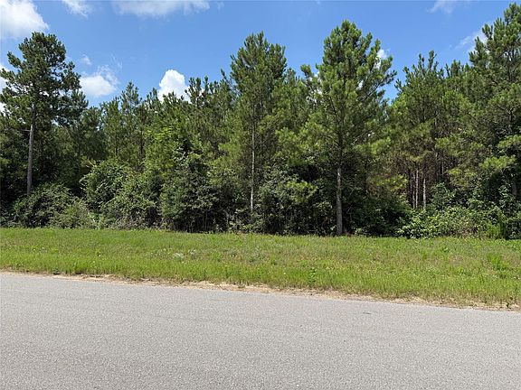 3rd image of 15751 Wood Grove Way Lot 35
