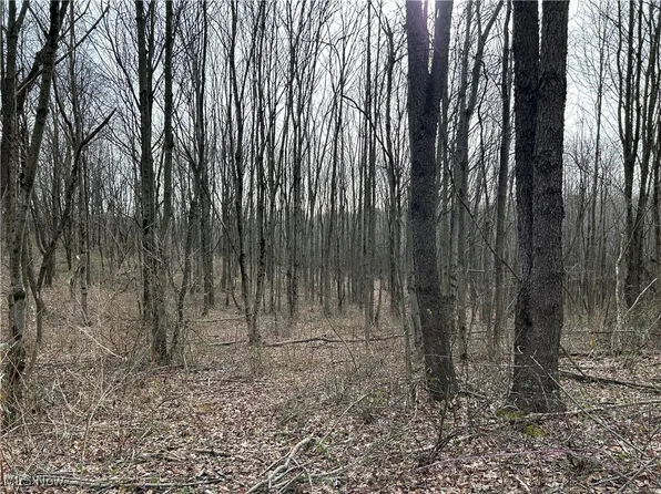 Mace Rd NE, Carrollton, OH 44615