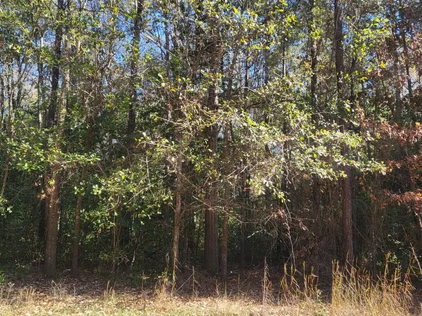 0 NE Lumpkin St, Albany, GA 31705