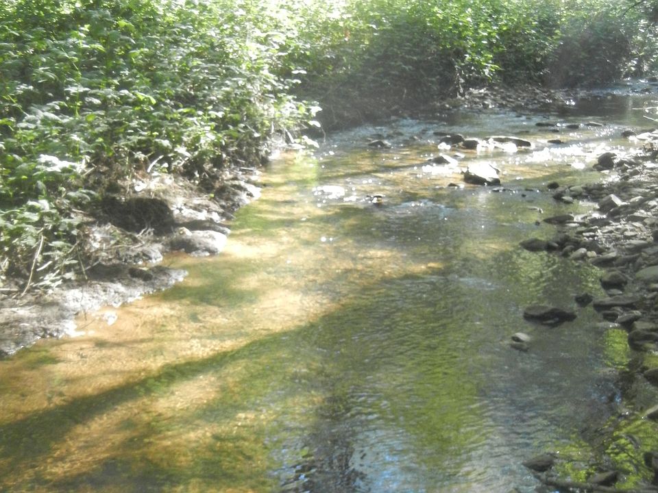 1st image of 10 Stage Trail
